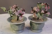 Two Jade Bonsai Trees
