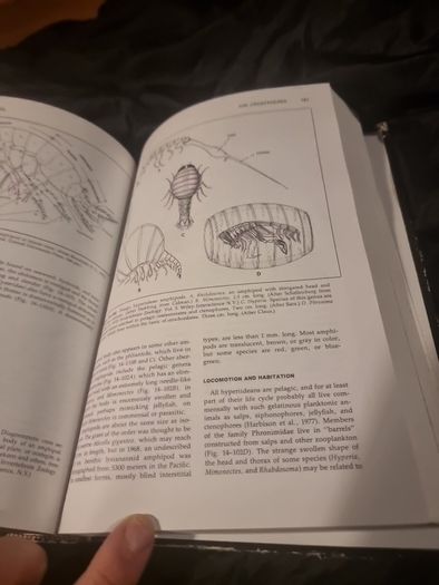 Invertibrate Zoology . 4th edition(Hardcover Illustrated Boards)
