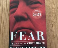 Fear - Trump on the Whitehouse -