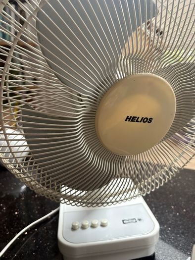 Fan