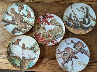 John Francis - The Forest Year - 5 Porcelain Collection Plates
