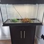 Fish Tank and cabinet Image 3