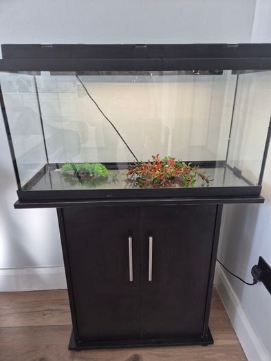 Fish Tank and cabinet