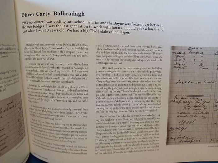 Dunderry, Meath local history