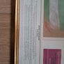 Celtic FC - Jimmy 'Jinky' Johnstone Framed Portrait Image 5