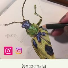Online Art Classes - Artistic Exploration