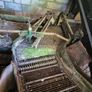 Potato harvester Image 5