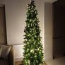 Christmas Tree Image 2