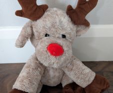 Reindeer Teddy