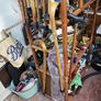 Walking stick Image 9