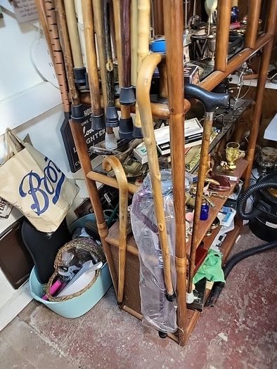 Walking stick