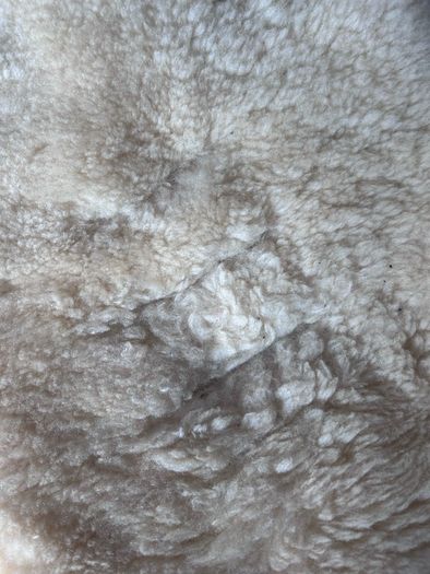 sheepskin buggy liner