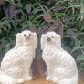 A Pair of Nineteenth Century Staffordshire Dogs(12") Image 2