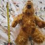 Alf Teddy Image 2