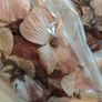 brown beige mixed artificial flowers heads faux fake Image 4