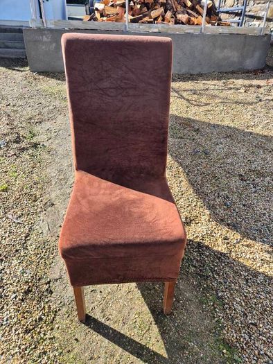 Dining Chairs
