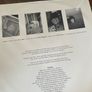 Gray Matter - Thog (Dischord / Promo) Image 5