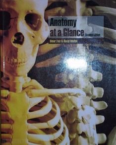 Anatomy at a Glance 2nd edition