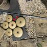 york weights set + 5ft bar Image 8