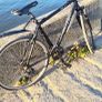 Trek bike fx7.1 hybrid Image 2
