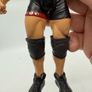 wwe Animal action figure Image 3