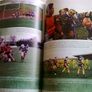 Plassey's Gaels History of GAA NIHE NCPE Thomond College & University of Limerick 1972-2012 Image 6