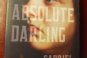 My Absolute Darling/   Gabriel Tallent / 2017
