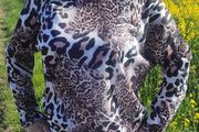 Blouse, leopard style sweater