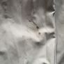 Grey montirex tracksuit Image 3