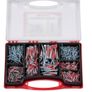 Fischer Red-Box Duopower Assorted Case of Screws/Wall Plugs 280pieces Image 2