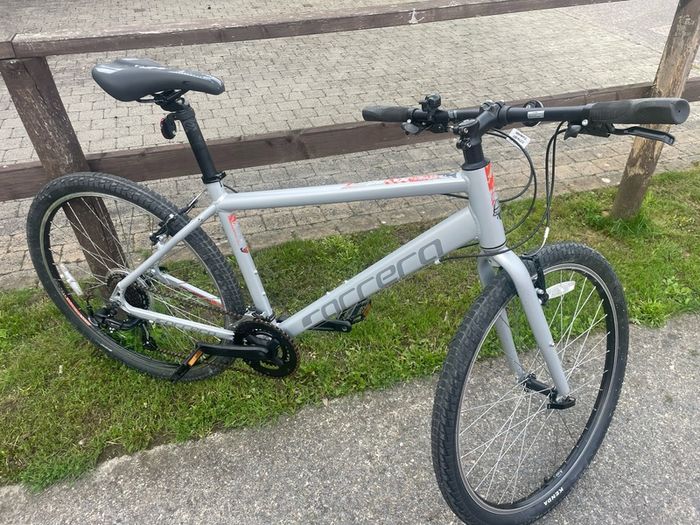 gents hybrid