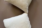 2 Duck/ Down Feather Filled Cushions