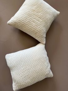 2 Duck/ Down Feather Filled Cushions