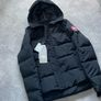 canada goose Image 3