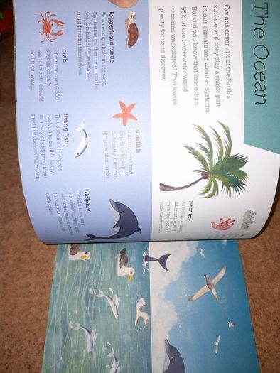 New book- Above and Below