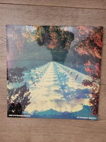 Tame Impala: innerspeaker 2 x LP