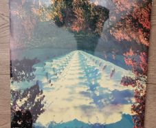 Tame Impala: innerspeaker 2 x LP