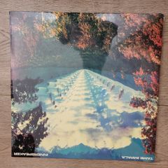 Tame Impala: innerspeaker 2 x LP