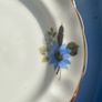 Arklow bone china trio and plates Image 10