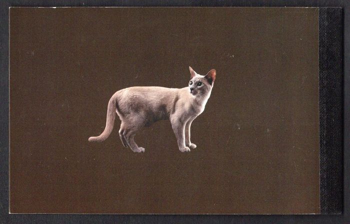 2014 Ireland Cats Commemorative Stamp Booklet Mint Never Hinged (MNH). Hibernian HB202. Photos of contents shown.