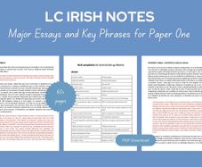 Leaving Cert Irish Paper 1 Essays