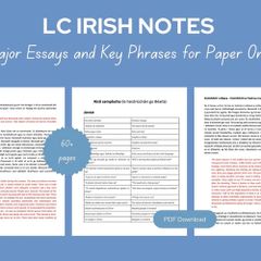 Leaving Cert Irish Paper 1 Essays