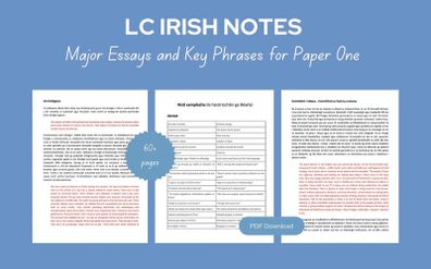Leaving Cert Irish Paper 1 Essays