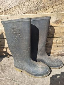 UK 9 Wellington Boots