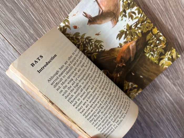Vintage Wild Animal Reference Small Pocket Size Book