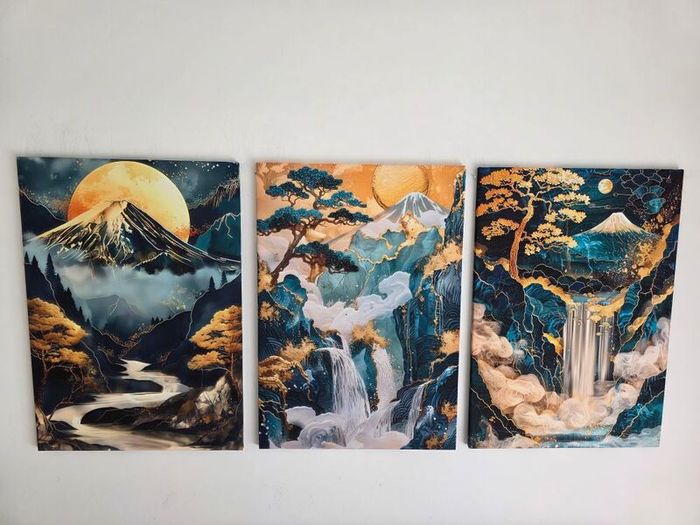 3 framed printed canvas 35x55cm each