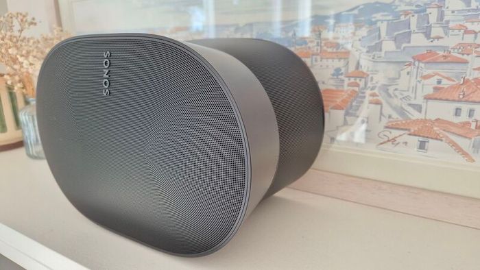 Sonos  300