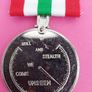 International Submarine Service Medal 1960's Image 4