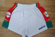 Carlow GAA shorts