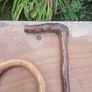 blackthorn walking sticks Image 10
